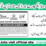 Pakistan Software Export Board PSEB Jobs 2025 Apply Online Through NJP