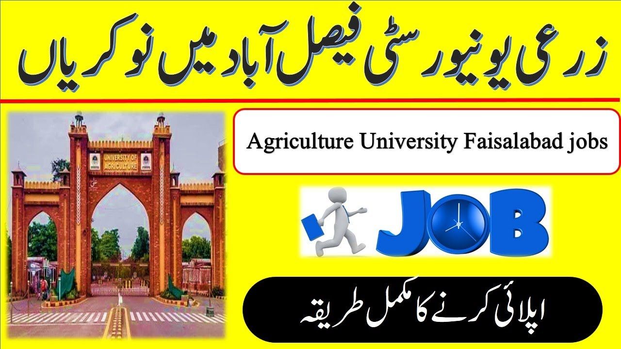 University of Agriculture UAF Jobs