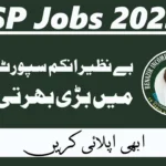 Benazir Income Support Programme (BISP) Jobs 2025 For Consultant Posts