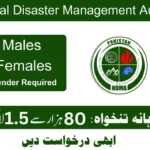 National Disaster Management Authority (NDMA) Jobs 2025 Apply Online