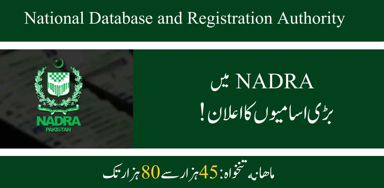 NADRA Recruitment 2024-2025: New Notification Out For Multiple Posts, Apply Online