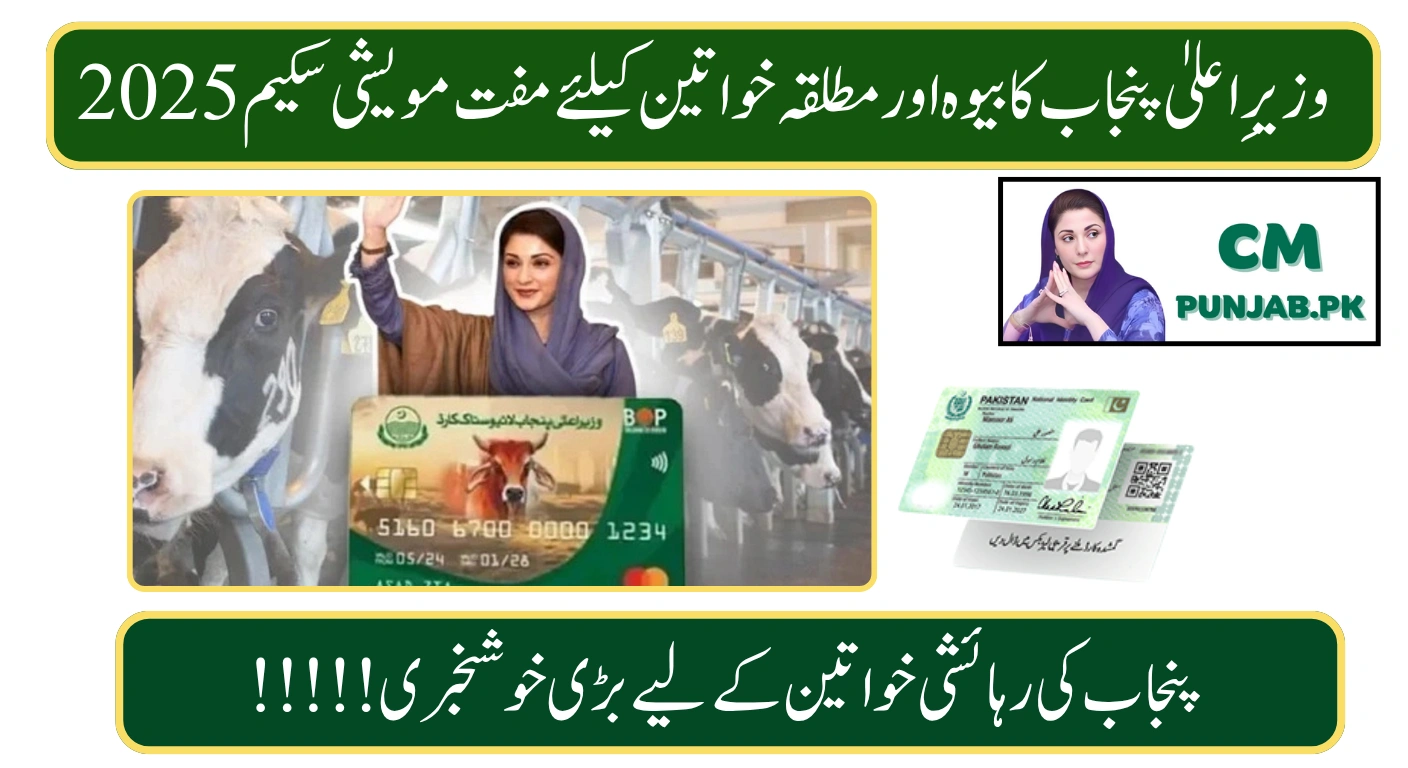 CM Punjab Launches Free Animal Scheme 2025